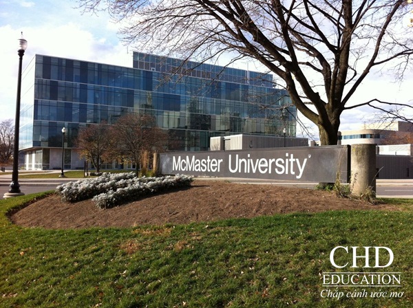 Đại học McMaster với khuôn viên đẹp và rộng rãi