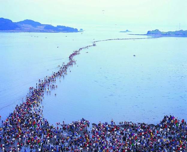 Lễ hội đi bộ qua biển Jindo - Lễ hội Hàn Quốc