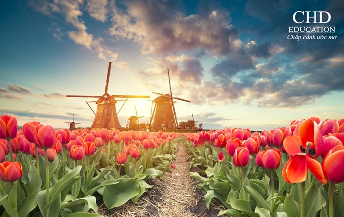 15 điều cực thú vị về đất nước Hà Lan