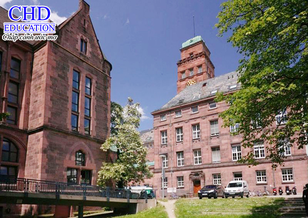 Visit the University of Freiburg