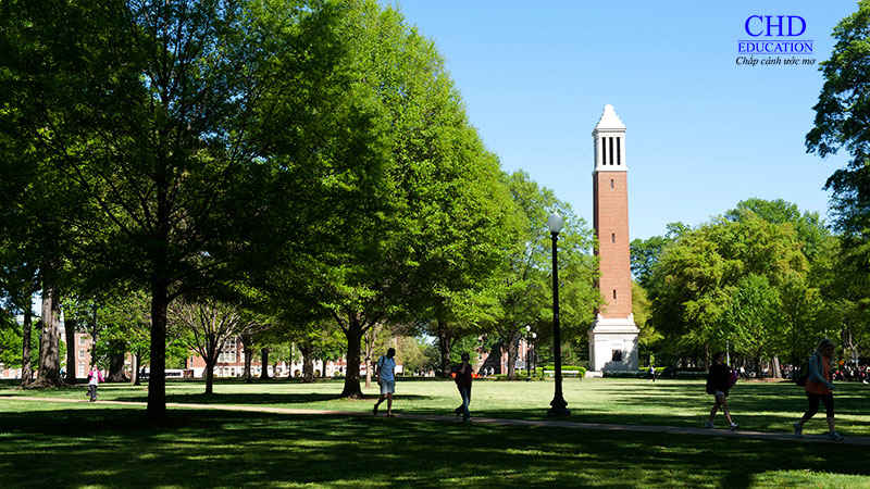  The University of Alabama Birmingham