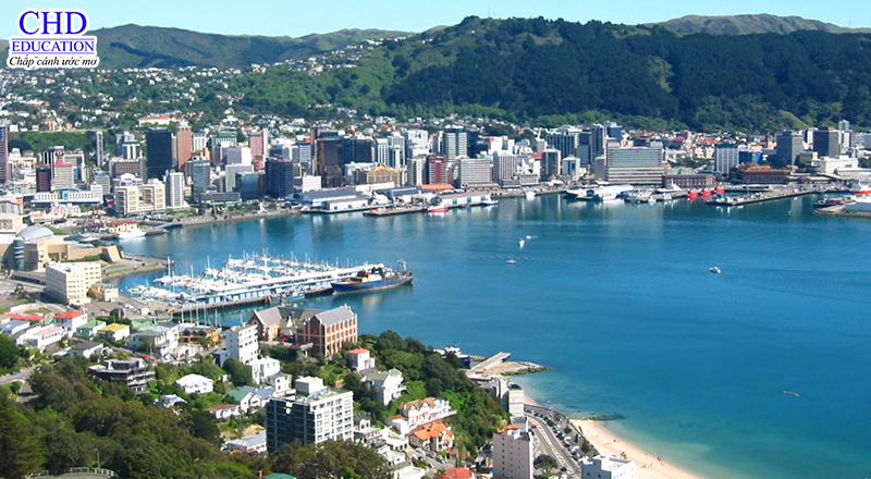Wellington-newzealand