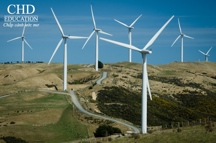 Wellinton Wind Turbine