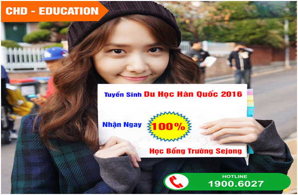 Cùng CHD săn học bổng du học Hàn Quốc với trường Đại học Sejong