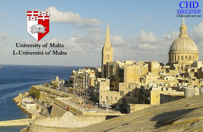 Cử nhân kinh tế Đại học Malta