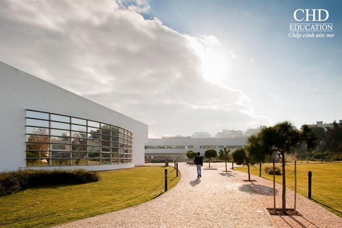 Du học Bồ Đào Nha - Đại học Algarve