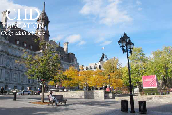 Du học Canada Thành phố Montréal, top những thành phố đáng sống nhất