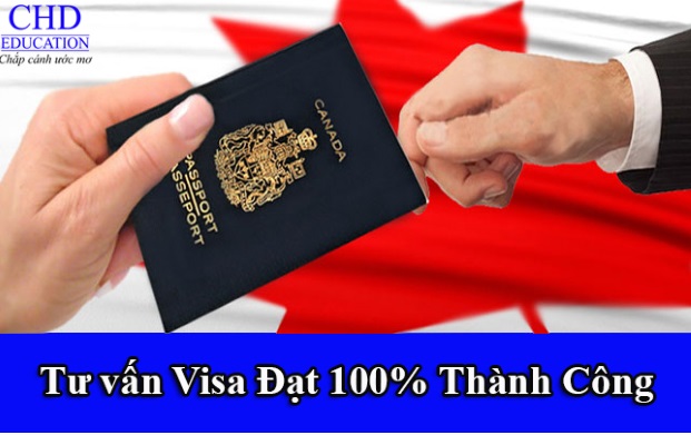 Du học Canada - Tỉ lệ xin visa Canada thành công ngày càng cao