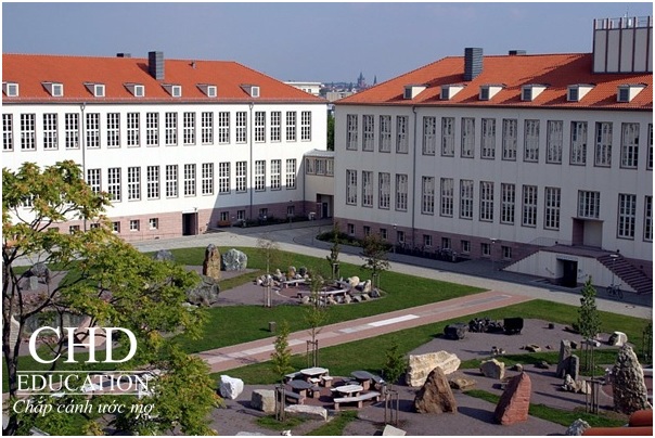 Du học Đức - Trường đại học Martin Luther Halle-Wittenberg (MLU)