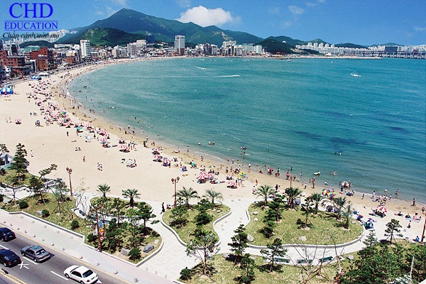 Ngắm nhìn vẻ đẹp bãi biển Busan
