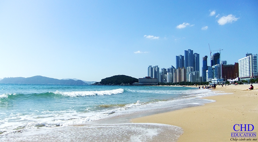Khám phá vẻ đẹp của những bãi biển tại Busan khi du học Hàn Quốc
