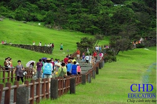 Du học Hàn Quốc - Ngày lễ đi bộ Jejudo Olle