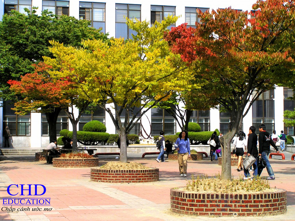 Du học tại trường Đại học Chongshin, Hàn Quốc