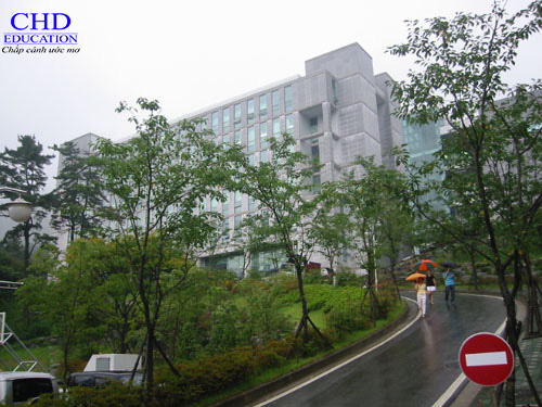 Trường Đại học Dong-A, sự lựa chọn tuyệt vời cho du học sinh Hàn Quốc