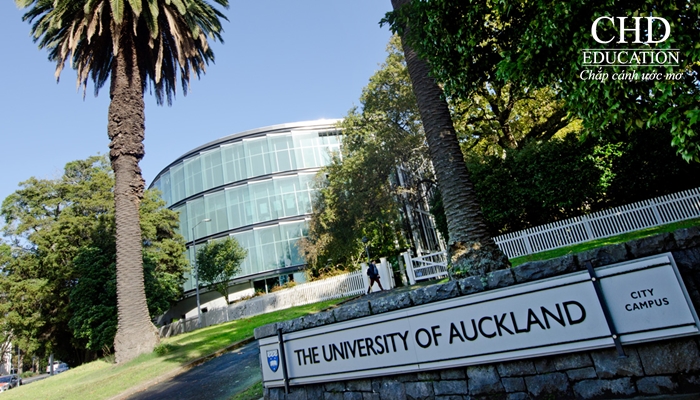 Du học New Zealand - Học dự bị tại đại học Auckland