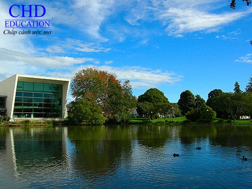 Du học New Zealand: Khuôn viên trường Đại học Waikato