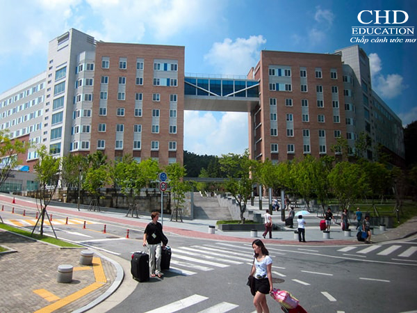 Du học tại Học viện kỹ thuật Dongyang, Hàn Quốc