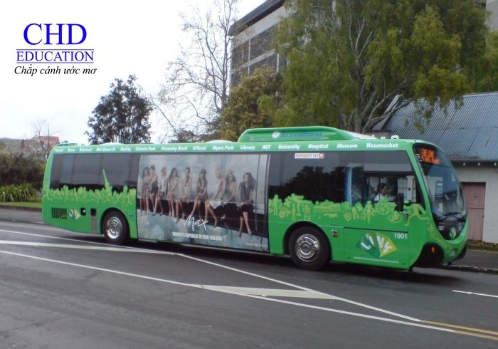 hệ thống xe bus ở NewZealand