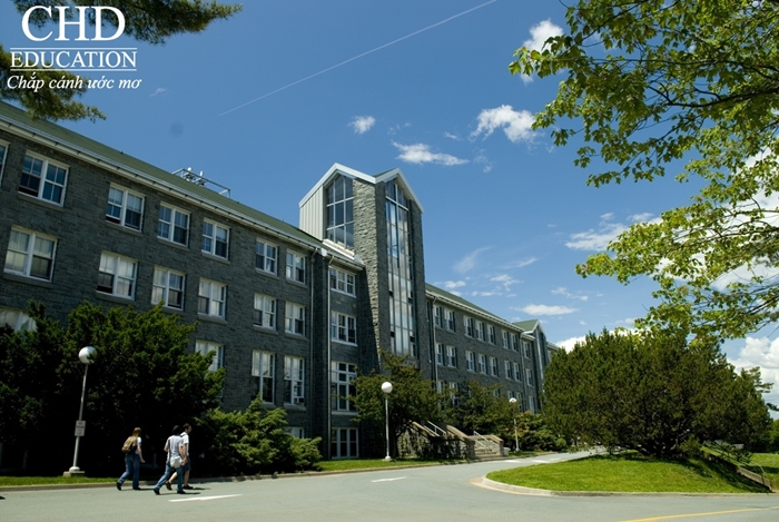 Học bổng 100% - Đại học Mount Saint Vincent Canada