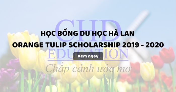 Học bổng du học Hà Lan Orange Tulip Scholarship 2019 - 2020