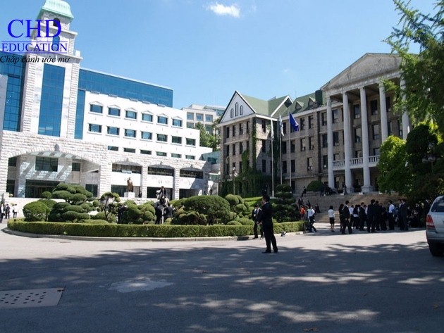 Săn học bổng du học tại trường Đại học Hanyang, Hàn Quốc
