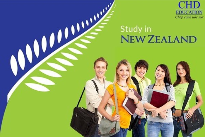 Học Quản trị kinh doanh tại New Zealand