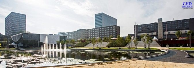 CHD-Học bổng du học Hà Lan tại đại học Rotterdam