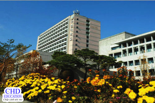 Khuôn viên Trường Đại học Kookmin University (1)