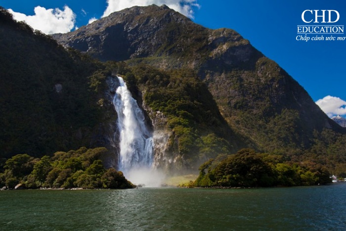 Thiên nhiên New Zealand