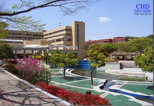 Ngắm nhìn vẻ đẹp tuyệt vời của trường Đại học Kyungdong khi du học Hàn Quốc