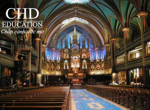 Du học Canada khám phá vẻ đẹp bên trong nhà thờ Đức Bà Basilica ở Montréal