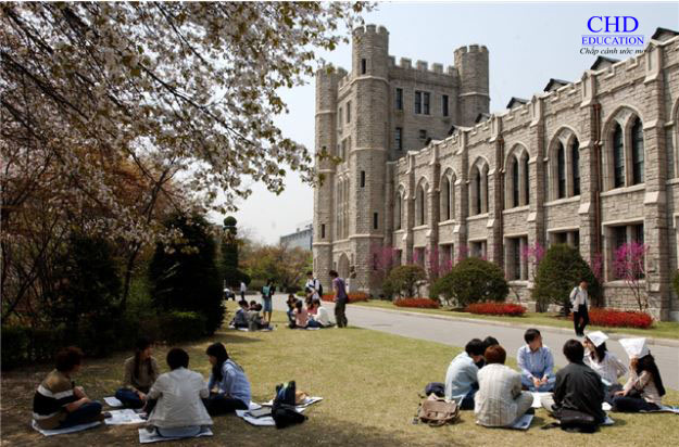 Trường Đại học Korea University (1)- Trường Đại học Top 1% 