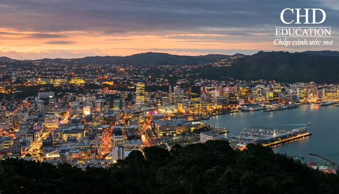 Thành phố Wellington - New Zealand