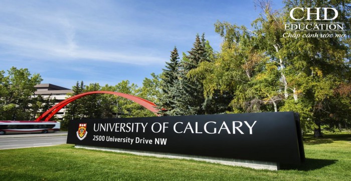 Du học Canada: Đại học Calgary - Chất lượng đẳng cấp quốc tế