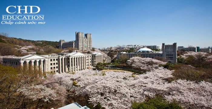 Du học Hàn Quốc - 4 trường đại học đẹp nhất xứ sở kim chi