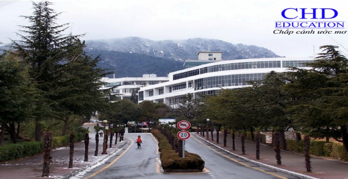 Du học Hàn Quốc – Đại học Quốc gia Pusan