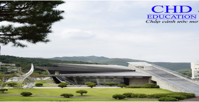 Du học Hàn Quốc - Top 5 trường Đại học ngành Quản trị kinh doanh tại Seoul