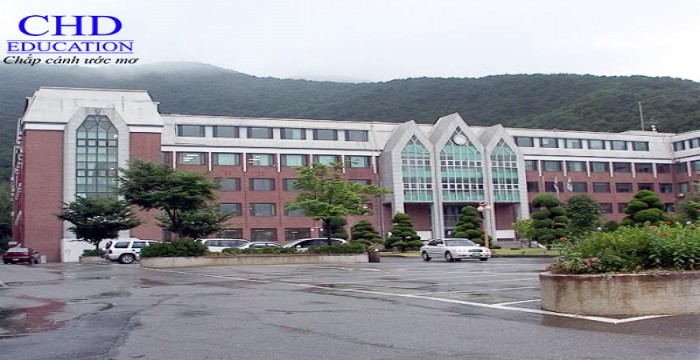 Du học Hàn Quốc - Trường Cao đẳng Kimpo