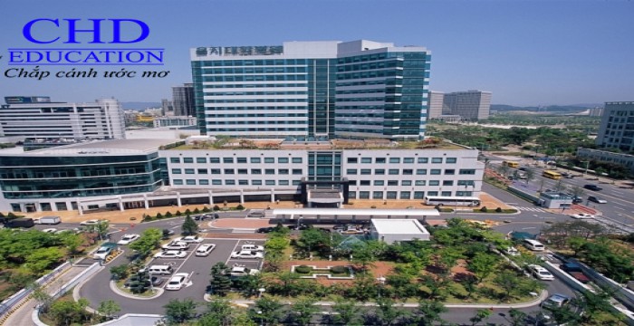Du học Hàn Quốc - Trường Đại học Eulji