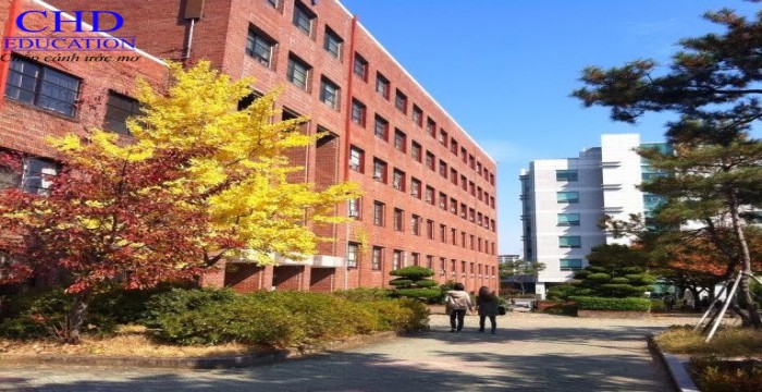 Du học Hàn Quốc – Trường Đại học Ulsan