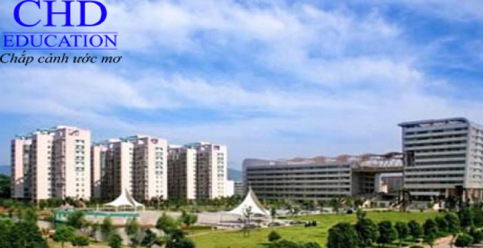 Du học Phần Lan: Đại học Khoa học Ứng dụng Kajaani