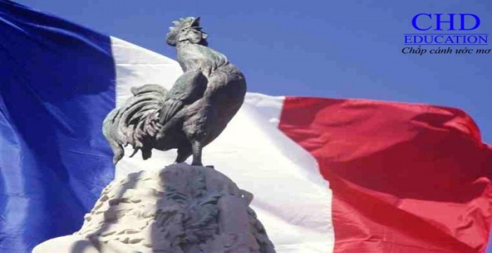 Du học Pháp tìm hiểu biểu tượng gà trống Gaulois