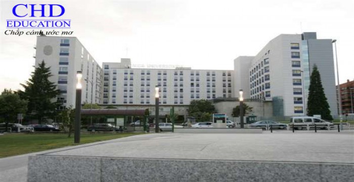 Du học Tây Ban Nha khám phá trường đại học Navarra
