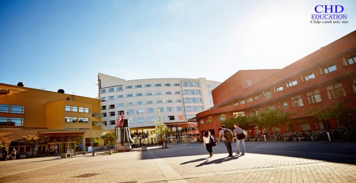 Du học Thụy Điển tại trường Đại học Jonkoping (JU) uy tín