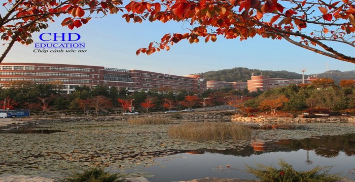 Học bổng du học toàn phần trường Đại học Silla, Hàn Quốc