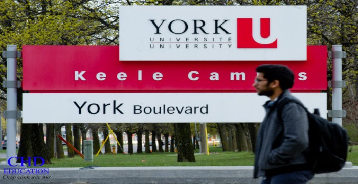 Học bổng hấp dẫn của Trường Đại học York Canada