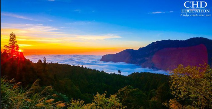 Khám phá ngọn núi hùng vĩ Alishan của Đài Loan