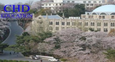 4 Trường Đào Tạo Diễn Xuất Hàng Đầu Tại Hàn Quốc