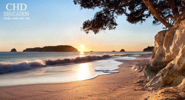 5 ĐỊA ĐIỂM KHÔNG THỂ BỎ QUA KHI ĐẾN NEW ZEALAND