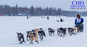 5 ĐIỀU THÚ VỊ NÊN KHÁM PHÁ TẠI CANADA